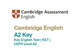 <div class="text_to_html">A2 Key</div>